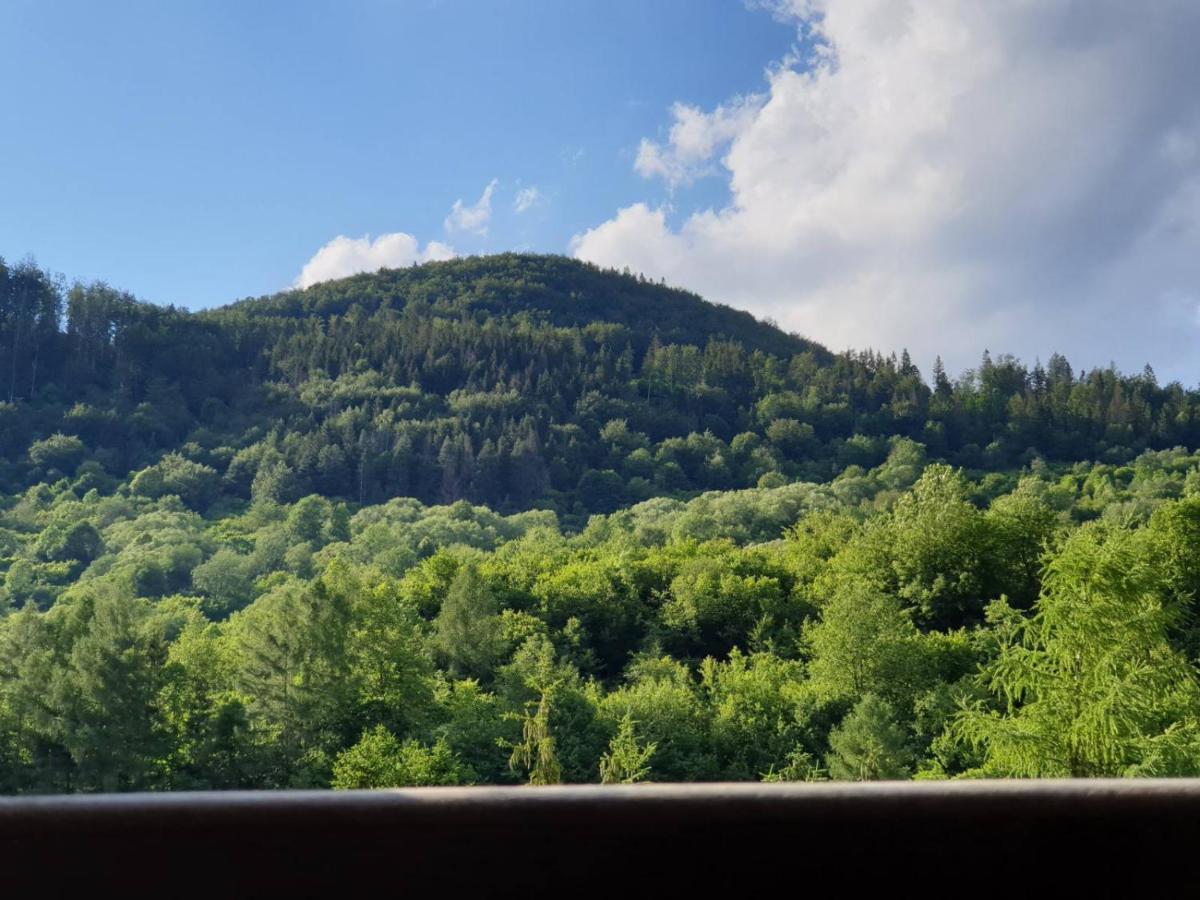 Apartmány EMA a PETER Terchová Exterior foto